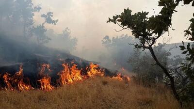 تصاویری از آتش سوزی مراتع سرپل ذهاب (فیلم)