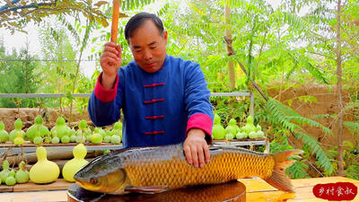 (ویدئو) پخت یک ماهی بزرگ توسط عمو روستایی آشپز معروف چینی