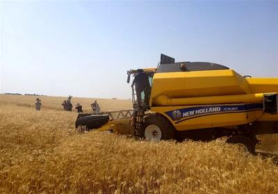برداشت بیش از ۵۰ هزار تن گندم از اراضی استان بوشهر