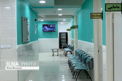 افزایش 5 برابری پذیرش بیماران بین المللی در مراکز درمانی دولتی شیراز