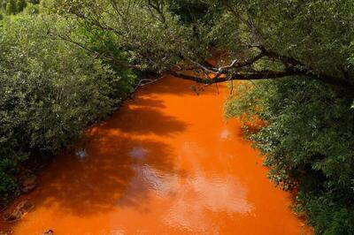 ماجرای جاری شدن آب پرتغال سمی در رودخانه‌ها چیست؟