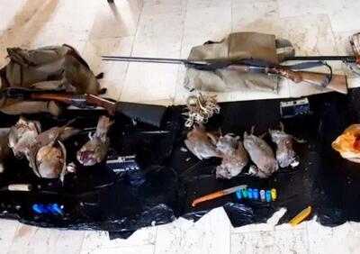 شکارچیان کبک در شهرستان جاجرم دستگیر شدند