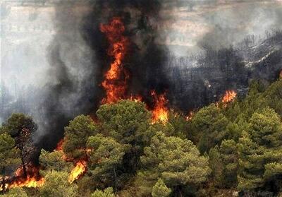 ۷۳ درصد وسعت لرستان را جنگل و مرتع تشکیل داده است/ شناسایی ۱۵۰ نقطه مستعد آتش سوزی در عرصه‌های استان