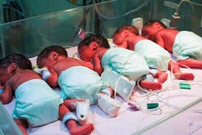 مادر ایرانی پنج قلو به دنیا آورد | مادر و نوزادان سالم هستند؟ +جزئیات