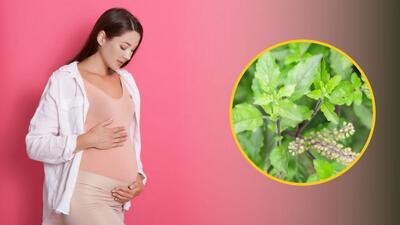 خوردن سبزی ریحان در بارداری خوب یا بد؟