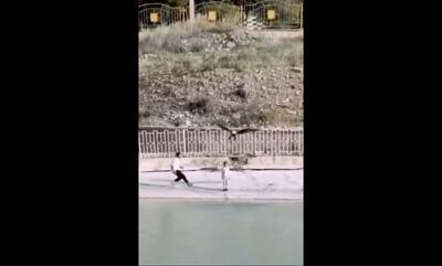لحظه دلهره آور حمله عقاب به دختربچه‌ای در یک پارک (فیلم)
