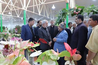 استاندار مازندران: افزایش صادرات گل و گیاه، درآمد استان را افزایش خواهد داد
