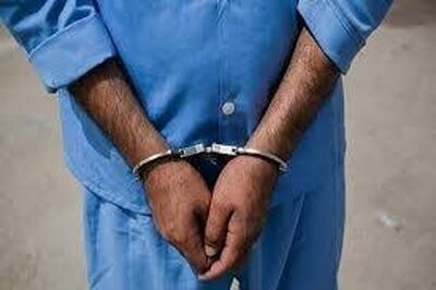 قاتل فراری در کمتر از ۲۴ ساعت در ملایر دستگیر شد