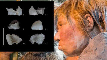 یافته دانشمند ایرانی تأیید شد: انسان‌ها از نیم‌میلیون سال پیش در فلات ایران زندگی می‌کردند