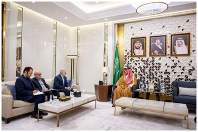 گفت‌وگوی سفیر ایران با وزیر کشور عربستان/تاکید بر همکاری ۲ کشور را برای برگزاری حج مطمئن