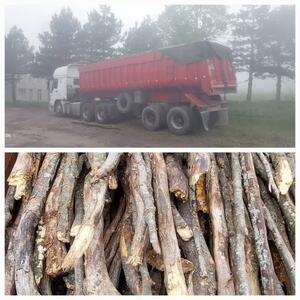 کامیون حامل ۱۰ تن هیزم جنگلی در استان اردبیل توقیف شد