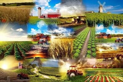 صنایع تبدیلی نیاز ضروری محصولات کشاورزی بروجرد است