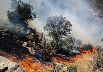 ببینید | اولین تصاویر از آتش سوزی در مراتع قالبی سفلی شهرستان پلدختر