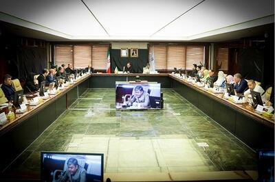 نشست مشترک کمیته فنی انرژی ایران و الجزایر برگزار شد| تاکید بر توسعه همکاری‌های دو کشور