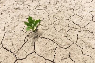 خشکسالی در این استان باقی است!