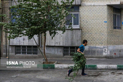 هشدار به تهرانی ها | وزش باد شدید در راه تهران