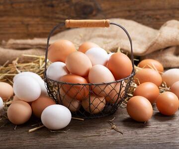 قیمت هر شانه تخم مرغ چند؟