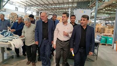 استاندار تهران برای بررسی مشکلات واحدهای تولیدی به ملارد سفر کرد