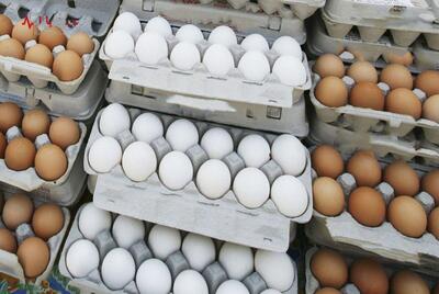قیمت تخم مرغ بسته بندی امروز ۷ خرداد ۱۴۰۳