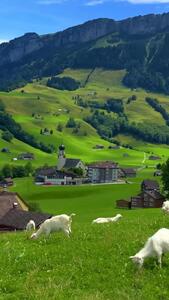فیلم زیبا از منظره چشم انداز شوِنده در سوئیس
