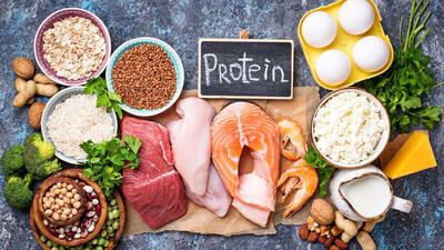 منابع پروتئین حیوانی + ارزش غذایی منابع پروتئینی به تفکیک