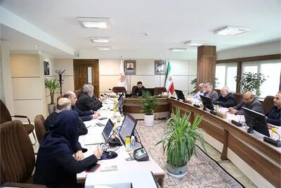 اهتمام ویژه شرکت ملی صنایع مس ایران برای تحقق برنامه تولید یک میلیون تن کاتد