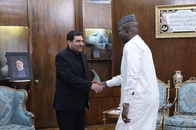 دیدار رئیس مجلس ملی مالی با سرپرست ریاست جمهوری
