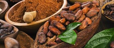 کشف ۱۰۰۰ کیلوگرم پودر کاکائو تقلبی در اسلامشهر