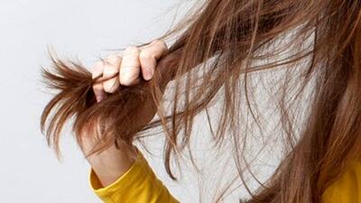 راز نگهداری و سلامت مو‌های نازک و کم پشت | اقتصاد24