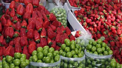 قیمت میوه های نوبرانه در میادین میوه و تره بار + جدول