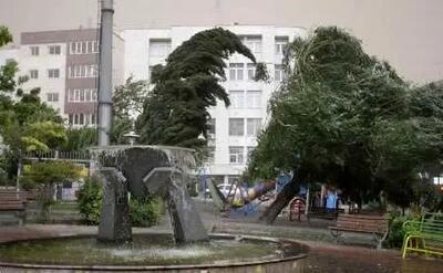 صدور هشدار وزش باد شدید و رگبار باران در پایتخت