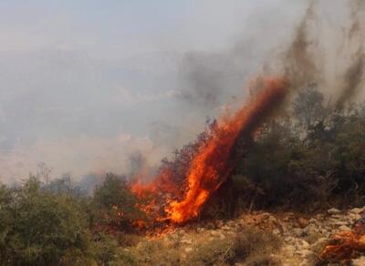 مهار آتش سوزی مراتع دامنه‌های کوه «خائیز» کهگیلویه