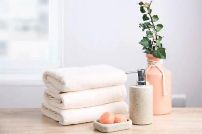صابون قالبی بهتر است یا شامپو بدن؟