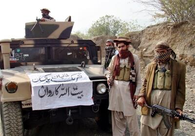 طالبان: سران   تی‌.تی‌.پی   در افغانستان حضور ندارند - تسنیم
