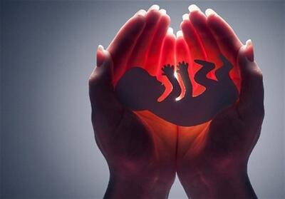 ‌جلوگیری از سقط 405 جنین سالم در فارس - تسنیم