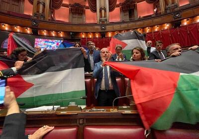 اهتزاز پرچم فلسطین در پارلمان‌های فرانسه و ایتالیا - تسنیم