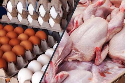 صادرات مرغ و تخم مرغ به عراق متوقف شد