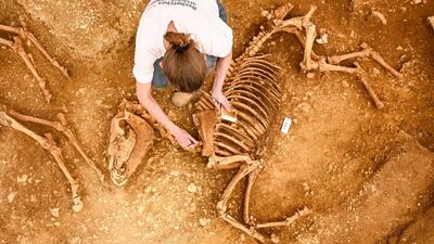کشف گورهای مرموز باستانی از اسب‌های متعلق به ۲ هزار سال پیش در فرانسه