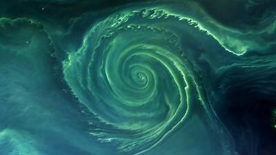 تصویر حیرت‌انگیز «گرداب مرگبار باکتری» در دریای بالتیک
