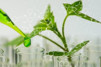 عطاری‌های علمی نشان حکمت‌بنیان دریافت می‌کنند/توسعه ۵ پالایشگاه‌ گیاهان دارویی در کشور