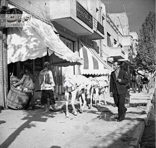 باربری با الاغ در چهارراه استانبول و مژدگانی ۵۰ تومانی!/ عکس