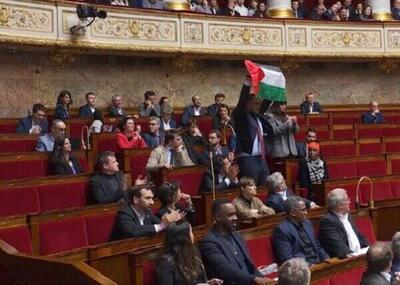 تعلیق نماینده فرانسوی از سوی پارلمان به دلیل حمایت از فلسطین+فیلم