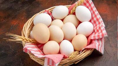 میگنا - چگونه تخم مرع صبحانه مناسبی برای کودکان است ؟