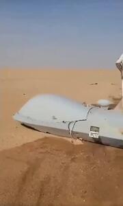 یکی دیگر از پهپادهای آمریکایی MQ-9 Reaper در مارب یمن سرنگون شد