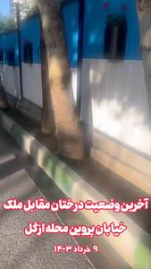 شهرداری تهران: قطع درختان این منطقه براساس رای کمیسیون ماده هفت صورت گرفته است
