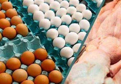 توقف صادرات مرغ و تخم مرغ ایران به عراق با ممنوعیت فصلی - تسنیم
