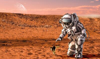 (تصاویر) گوجه و هویج در خاک «مریخی» تا چه اندازه‌ای رشد می‌کنند؟