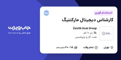 استخدام کارشناس دیجیتال مارکتنیگ در Zenith Goal Group