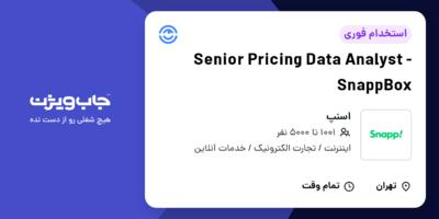 استخدام Senior Pricing Data Analyst - SnappBox در اسنپ