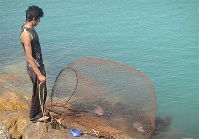 صید ماهی   حلوا سفید   در خوزستان ممنوع شد - تسنیم